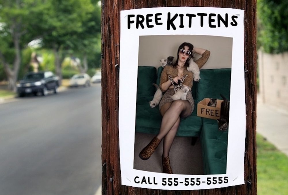 FREE KITTENS (Vancouver Fringe)
