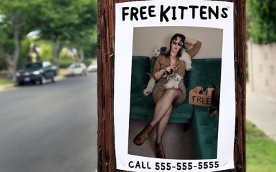 FREE KITTENS (Vancouver Fringe)