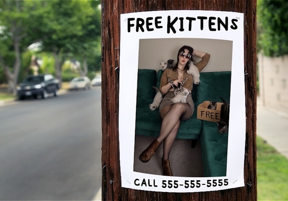 Publicity photo for Free Kittens