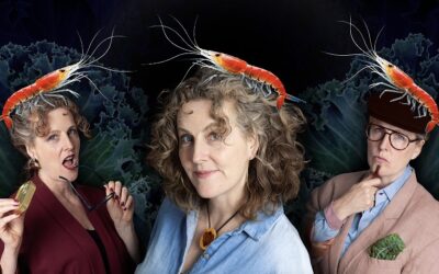 THE IVORY TOWER POWER HOUR (VANCOUVER FRINGE)
